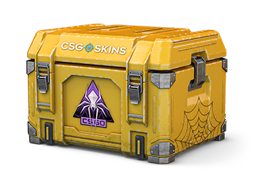 Shattered Web Case