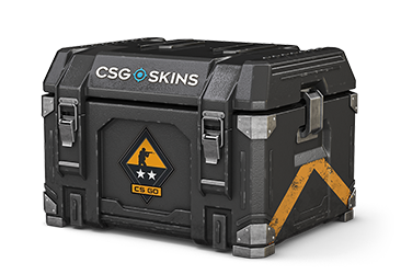 Weapon Case 2