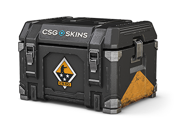Weapon Case 3