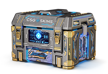 Cyber Case