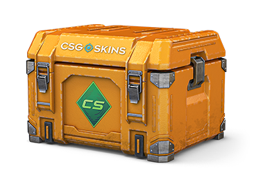 Gallery Case