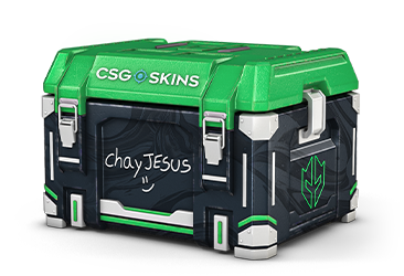 chayJESUS's Case