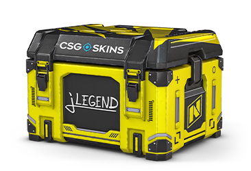jL's Case