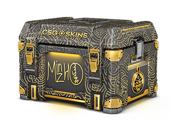 mzinho's Case