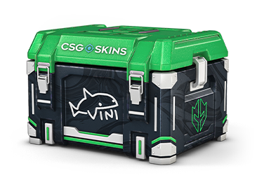 VINI's Case